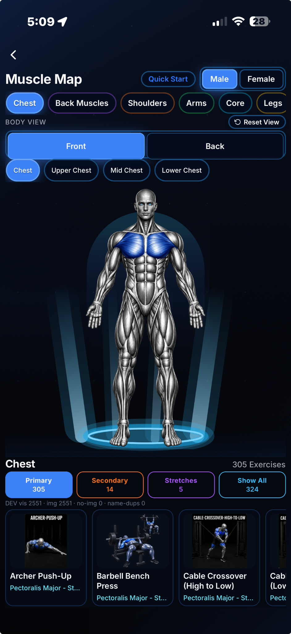 Muscle Map